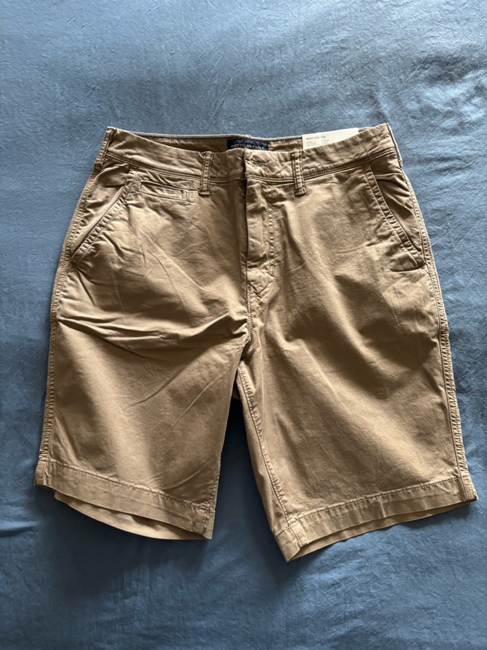 American Eagle Outfitters Tan Flat Front Shorts